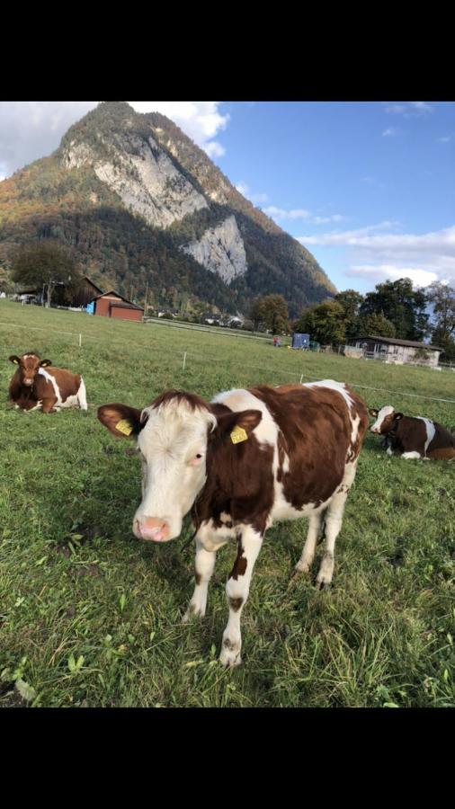 Studio The Cow Apartment Kandersteg Exterior photo