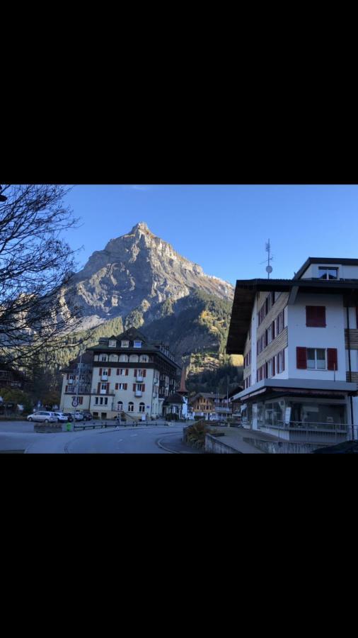 Studio The Cow Apartment Kandersteg Exterior photo